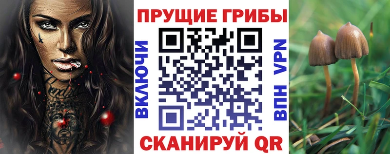 Псилоцибиновые грибы Cubensis  Рузаевка 